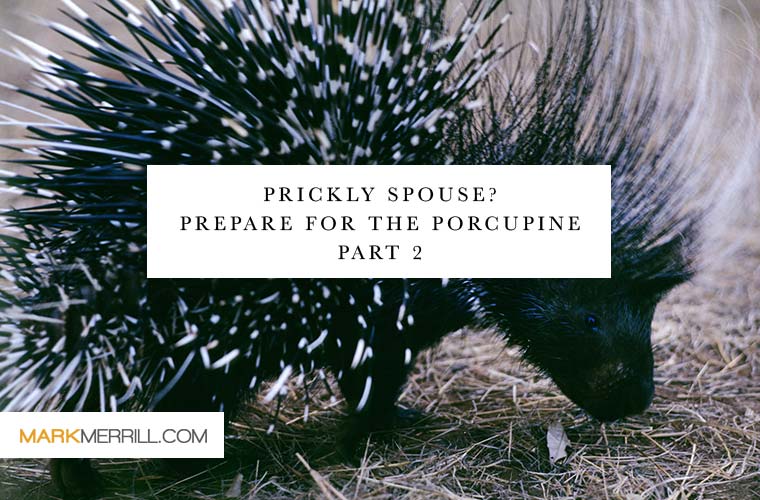 prickly-spouse-part2