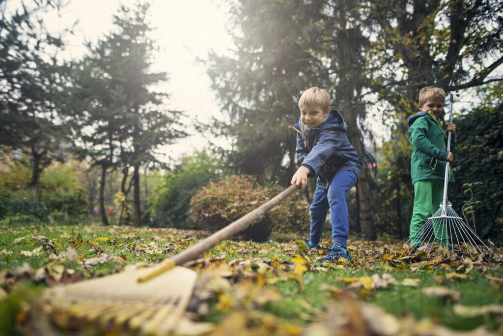 chores by age